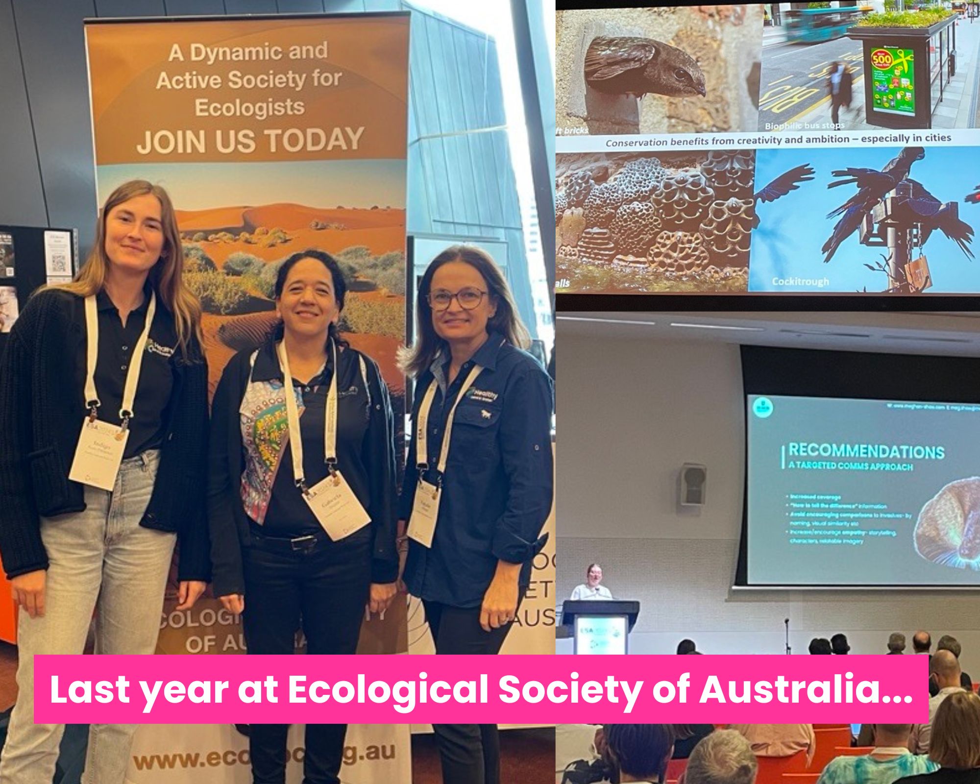 Exploring innovations in ecology: ESA 2024