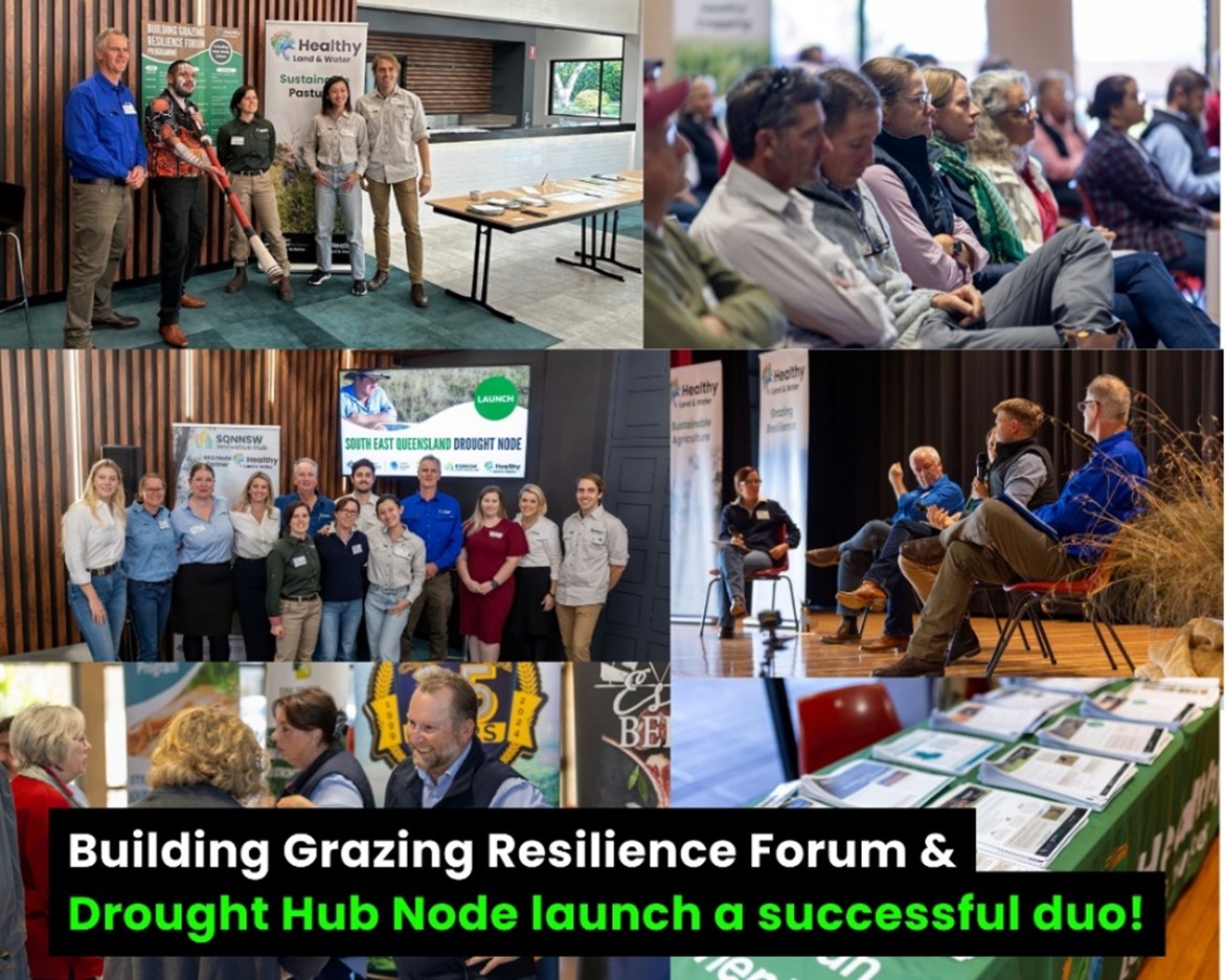 Successful Building Grazing Resilience Forum in Gatton and launch of a new Drought Hub for Southern Queensland