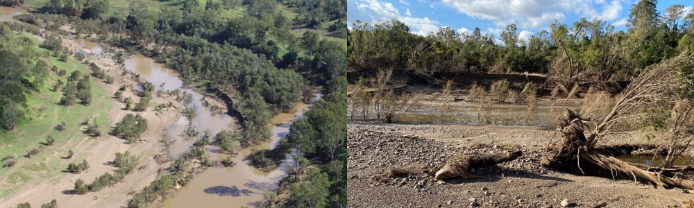 Cod Log Pine Mountain Reach erosion
