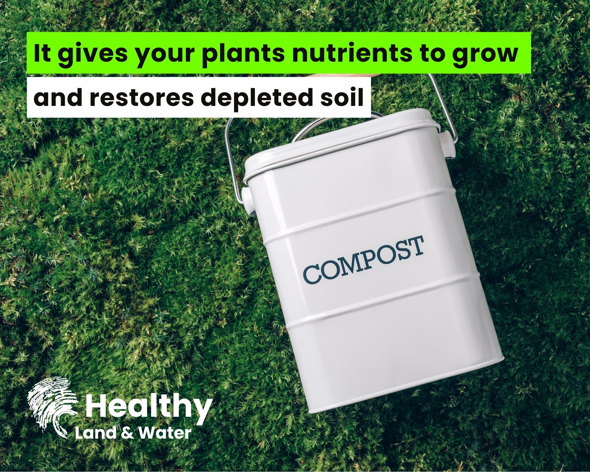 Composting at home: How to start and tips