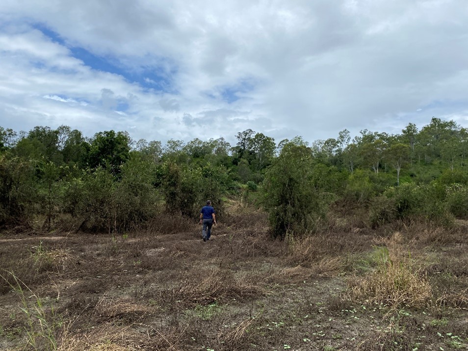 Flood Recovery & Resilience Project kicking goals!