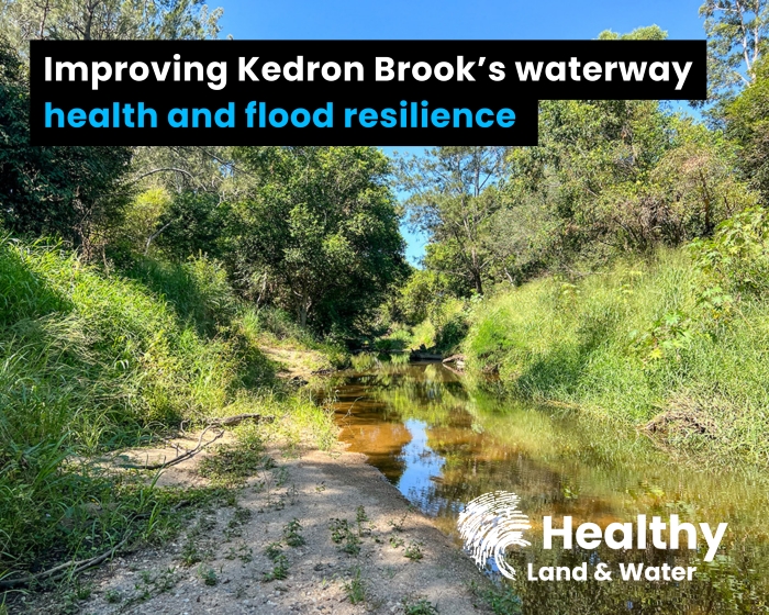 Kedron Brook Project: A roadmap to flood recovery, increased resilience and enhanced enviro outcomes