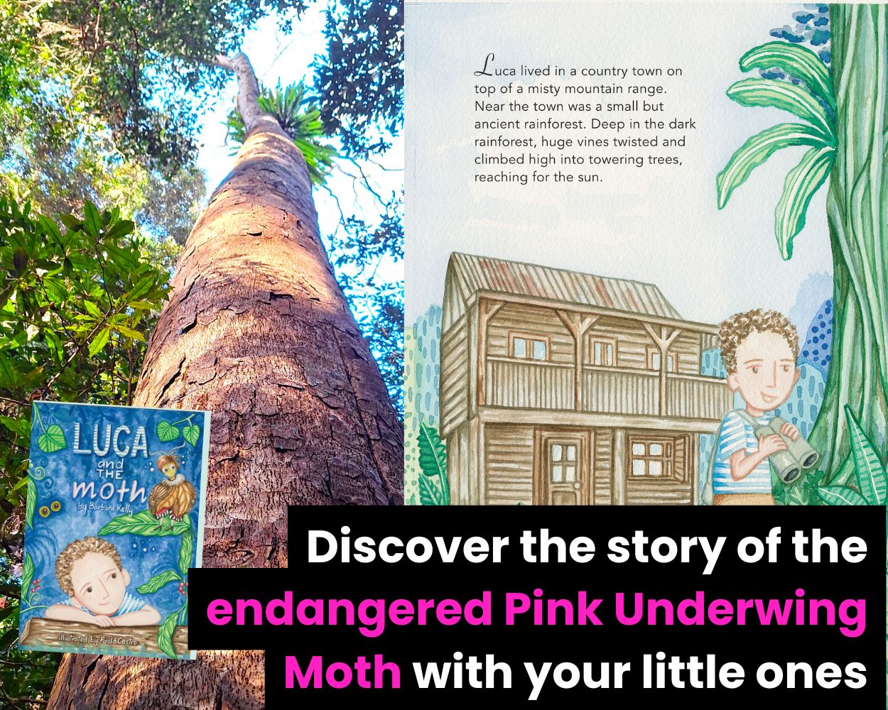 New kids book: Luca and the Moth - a colourful journey into conservation