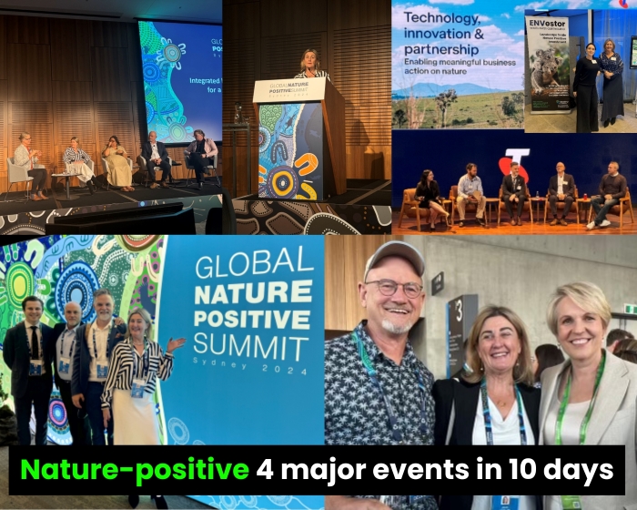 Paving the way to a nature-positive future: 4 landmark events in 10 days