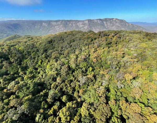 Another 43,000 hectares of land across Queensland now protected!