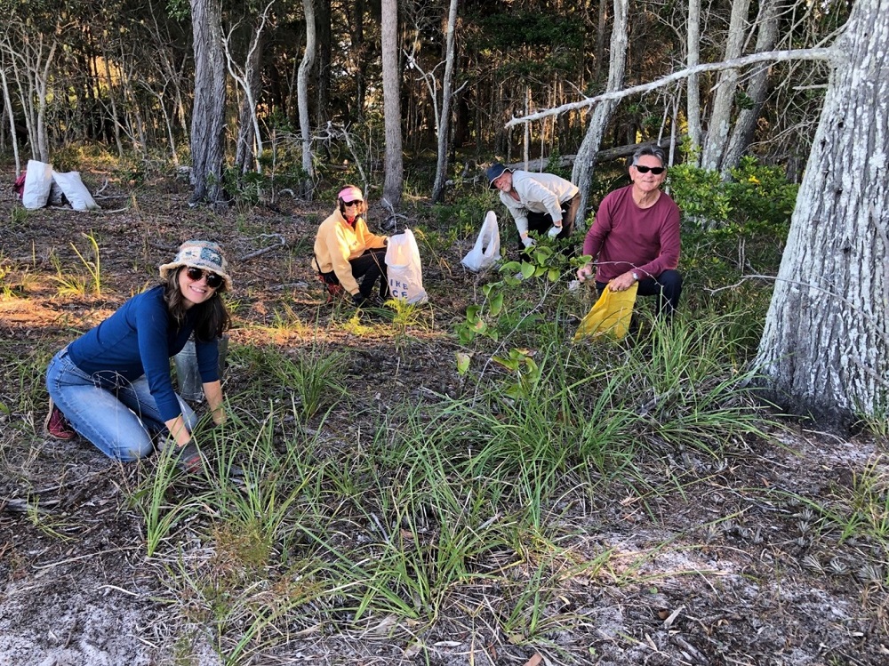 Coochiemudlo community caring for wetlands and each other