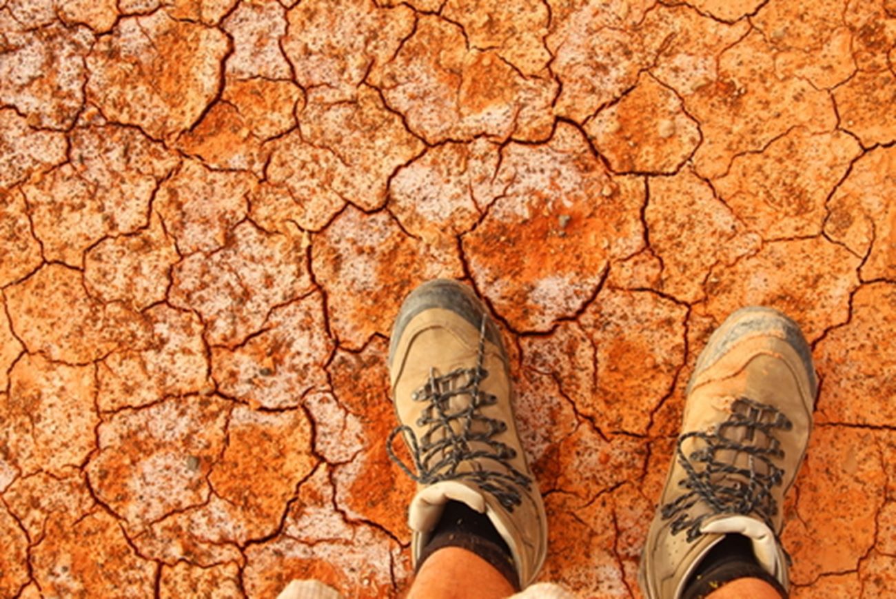 Boosting your ability to weather drought: preparedness tips for primary producers