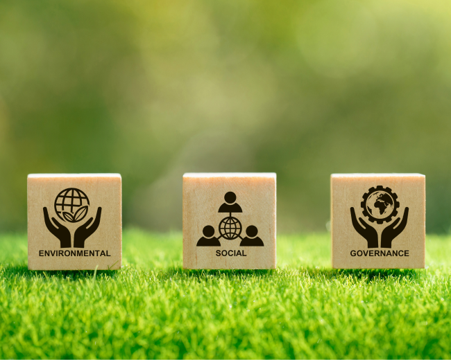 Navigating the ESG landscape