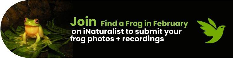 FFF iNaturalist
