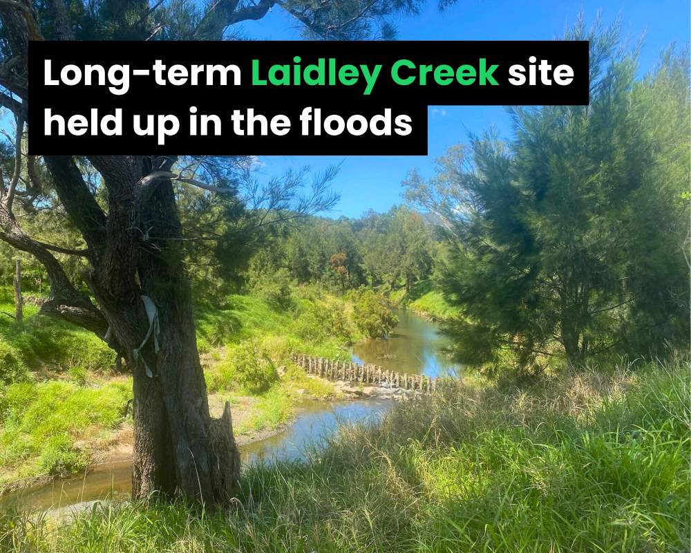 Flood tested learnings Vanessa Dsml