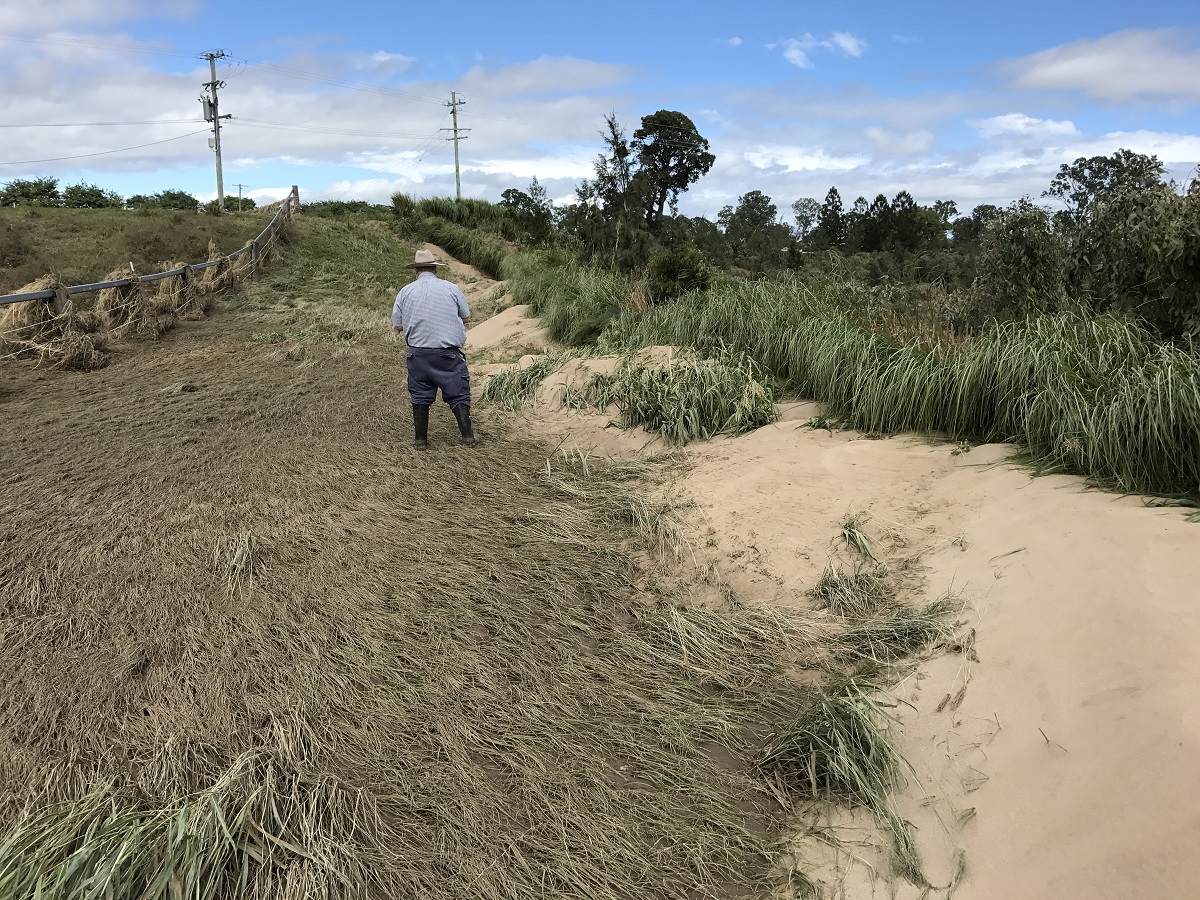 Floods from ex-Cyclone Debbie highlight need for natural resilience