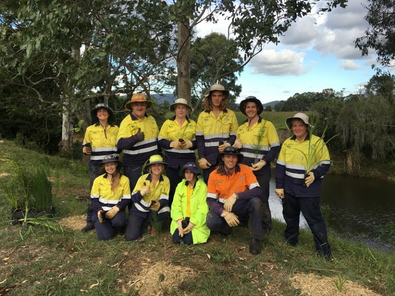 Green Army fights to restore habitat along Neurum Creek