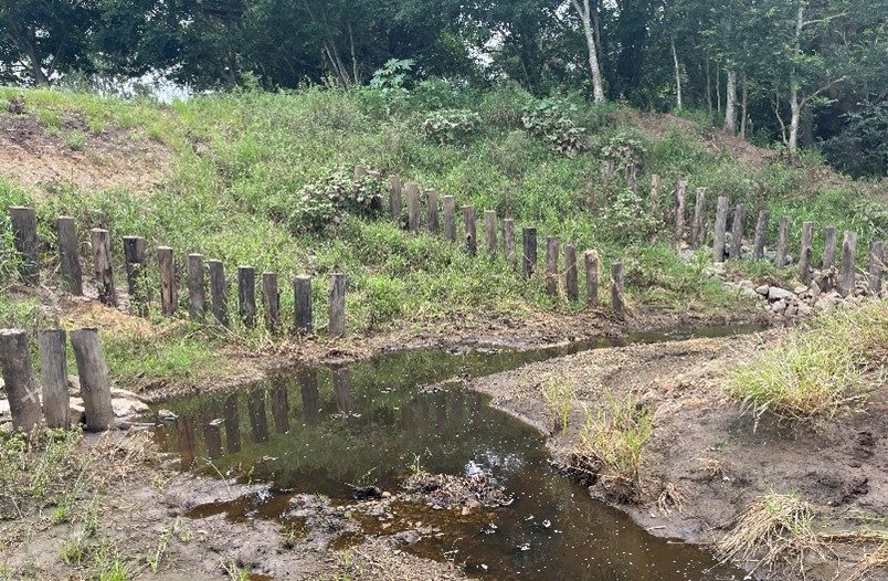 Healthy catchments 7