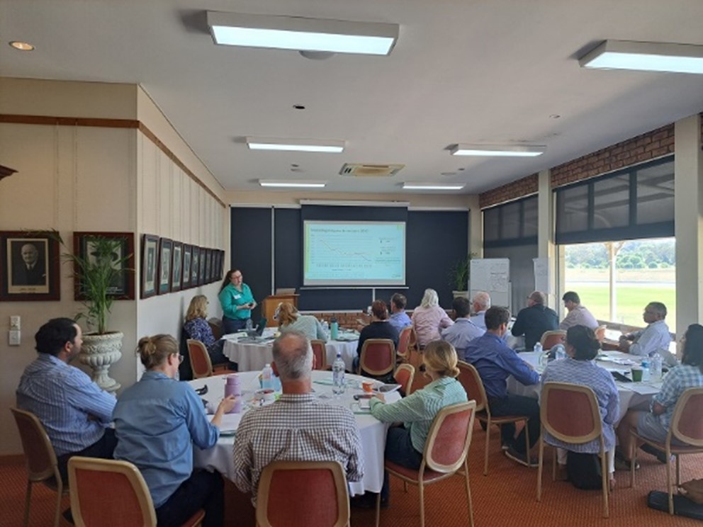 MLA Carbon edge Kilcoy