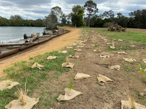 Project kick-off: Along the Lower Caboolture riverbanks, the ball is rolling towards flood resilience and more!