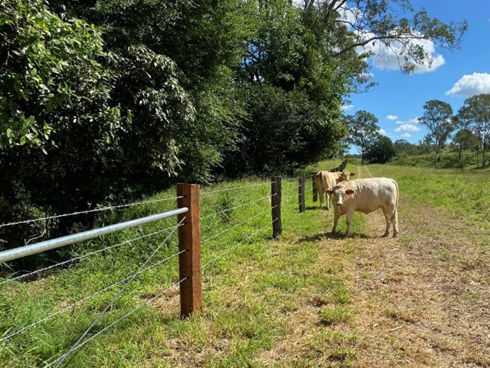 Mid Bris Rivercare winwin fencing