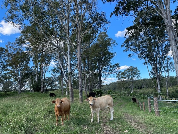 Mid Bris Rivercare winwin fencing