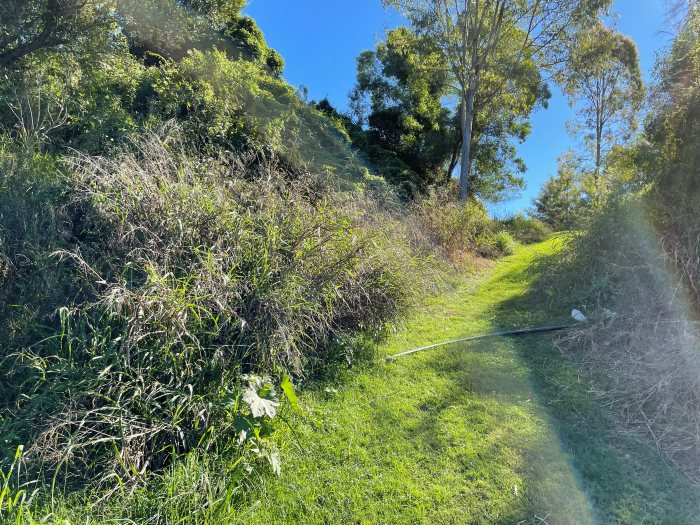 Midbris planted bank