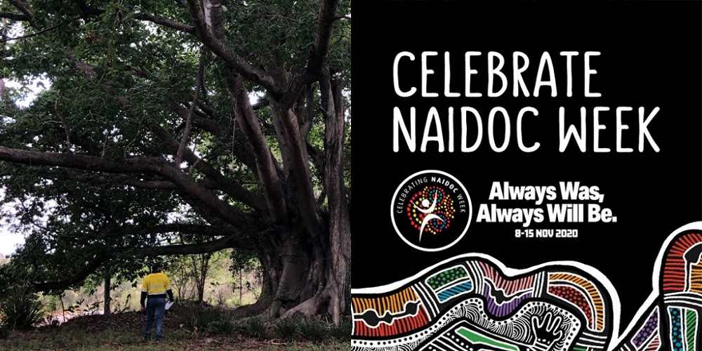NAIDOC Week 2020: What it means to be a First Nations person