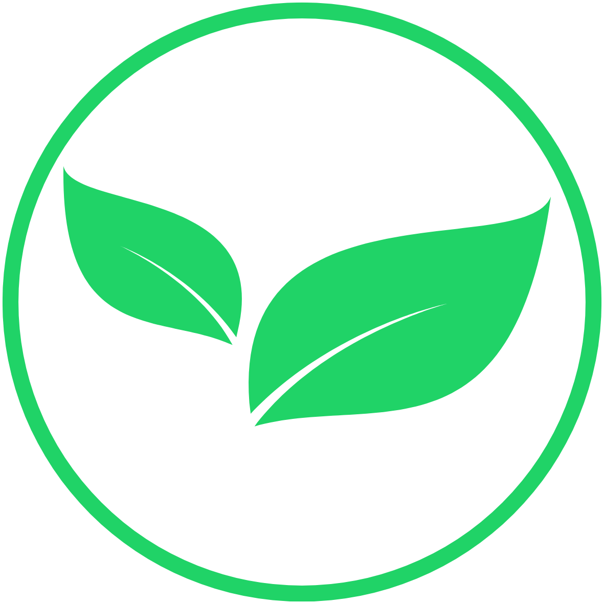 Urban design capacity building