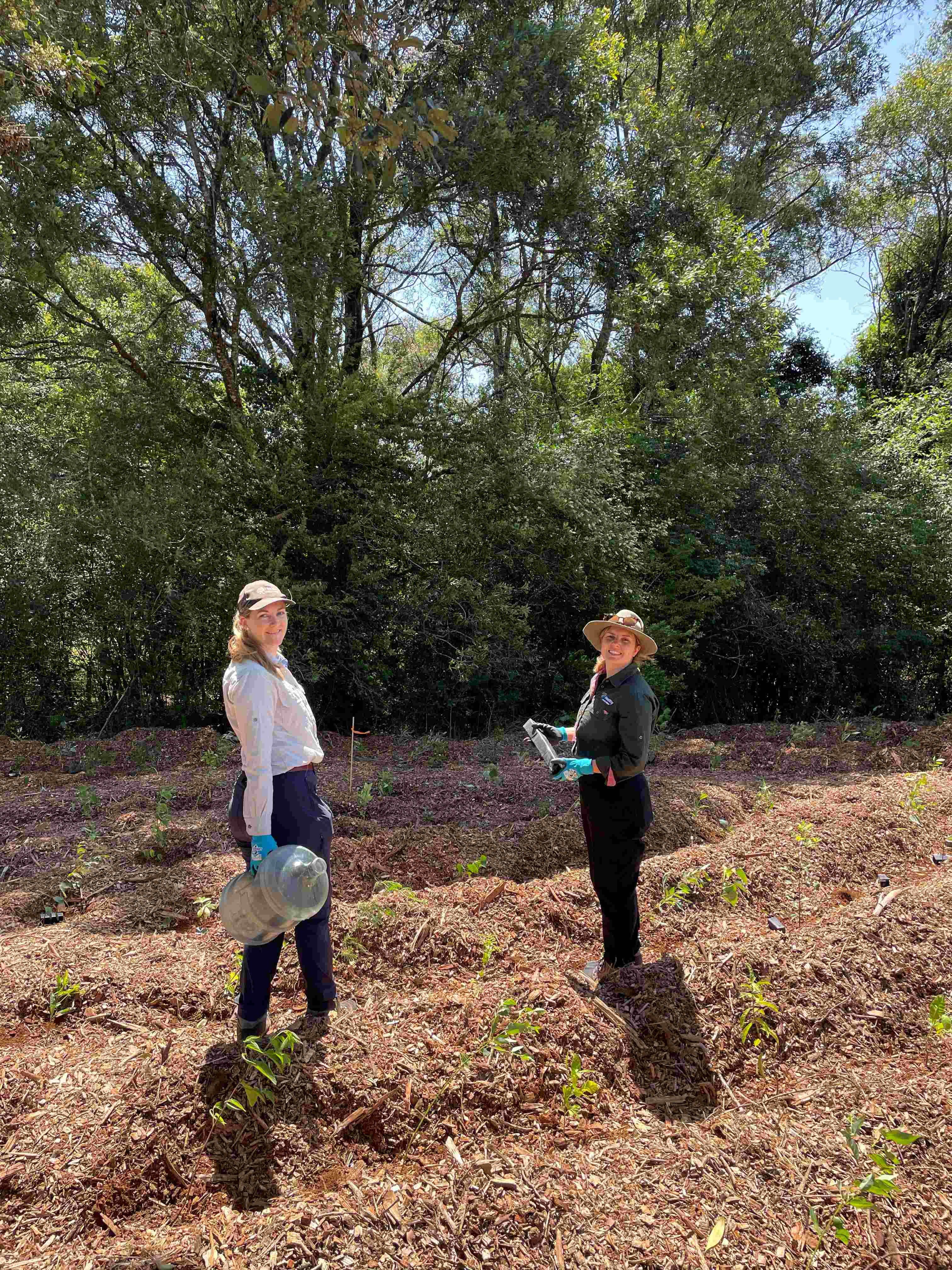PUM Miranda and Nat planting trees