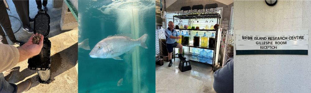 Members of the Moreton Bay Shellfish Reef Restoration Reference Group.