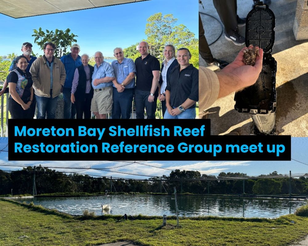 A day out with the Moreton Bay Shellfish Reef Restoration Reference Group