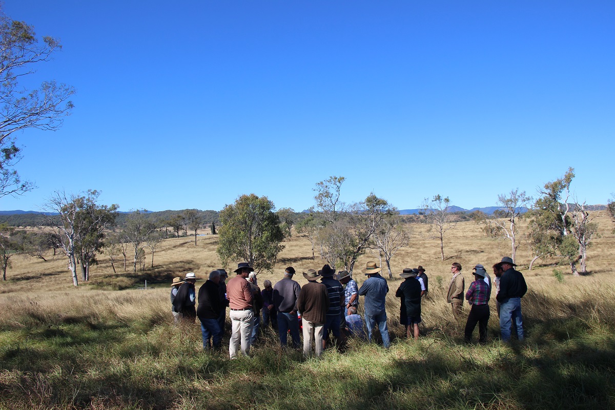 Rural workshops help farmers improve their grazing operations