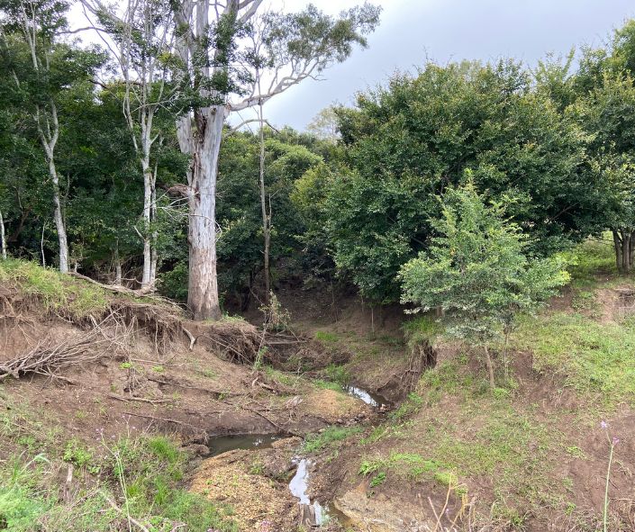 Warrill landholder Project2 Before