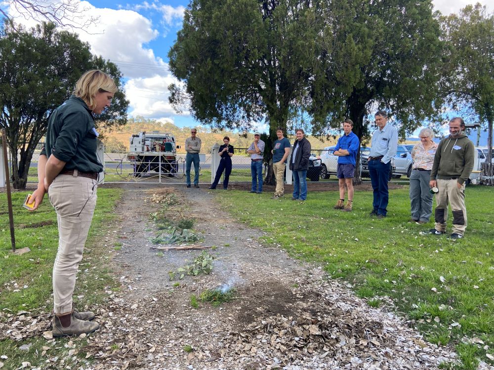 Workshop participants observe fire behaviour 2025 low