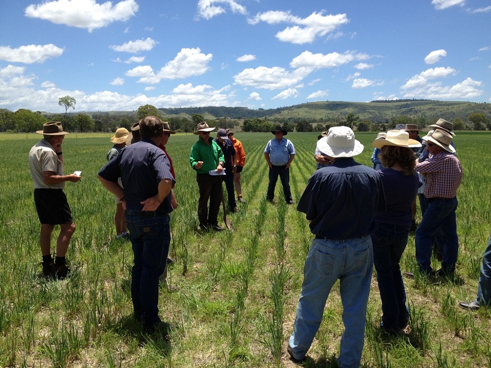 World Soil Day – Halt soil salinisation, boost soil productivity