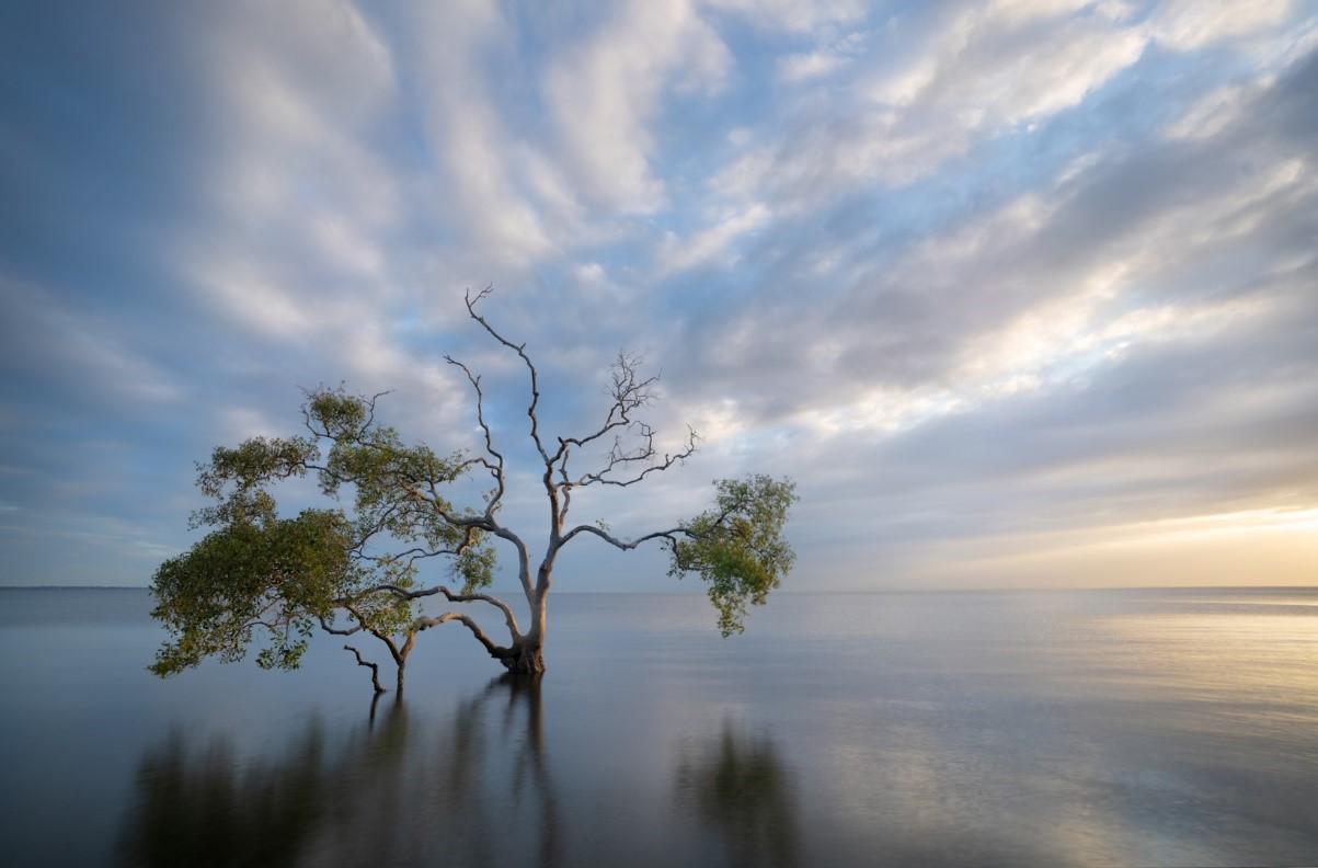 The magic of our wonderful wetlands