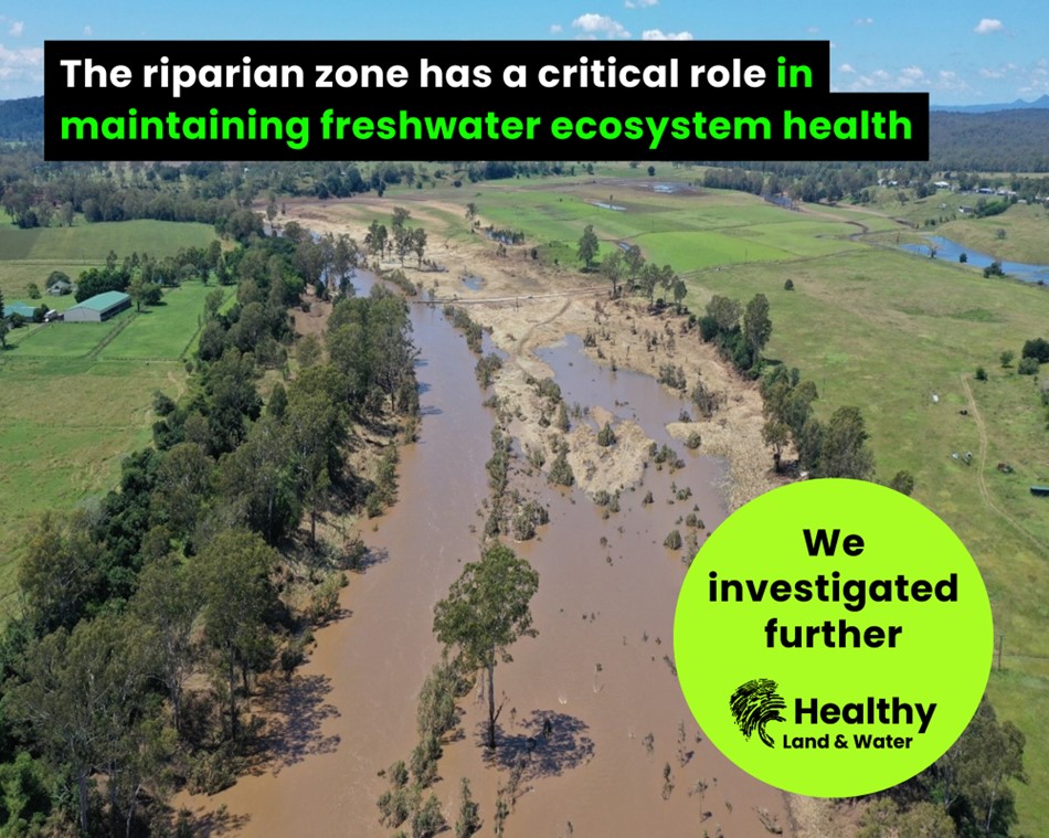 Quantifying the water quality benefits of forests