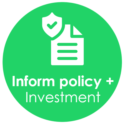 What we do informing policy and investment