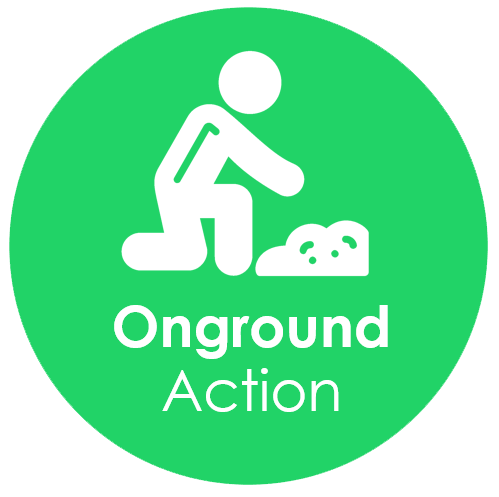 What we do expertise in onground action and projects