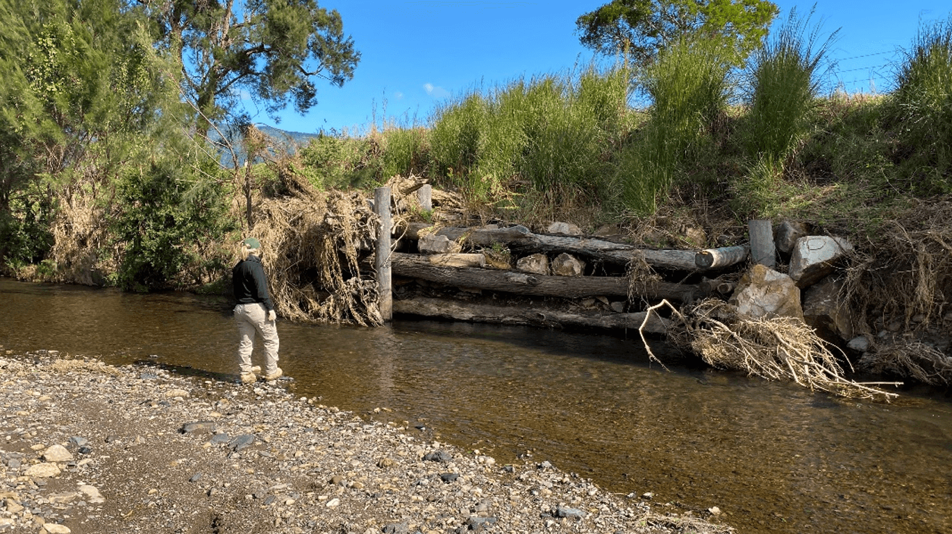 Waterway restoration
