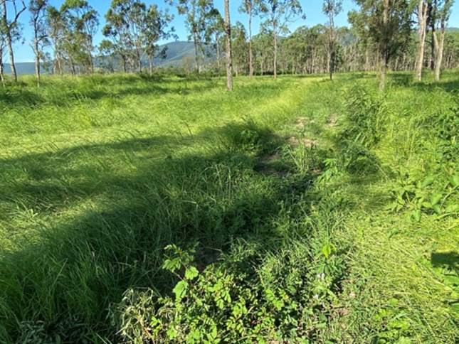 FDF drought project update 2