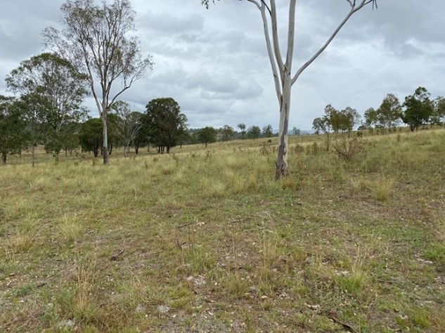 FDF drought project update 3