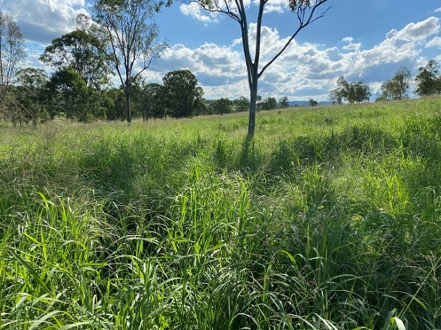 FDF drought project update 4