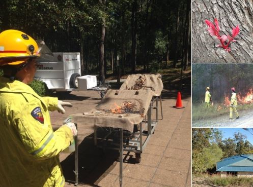 photos of fire workshops with a firefighter