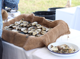 Project launch, basket with oysters