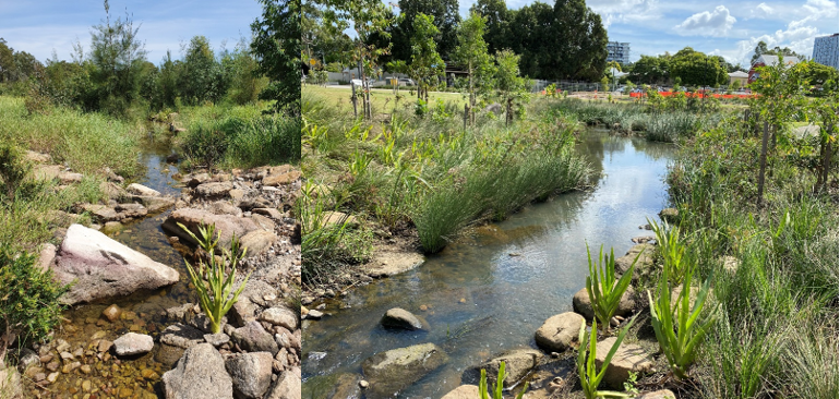 rocks and vegetation